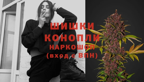 спайс Алексин