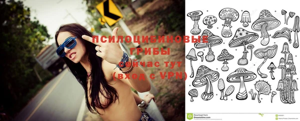 хмурый Алексеевка