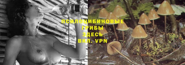 хмурый Алексеевка