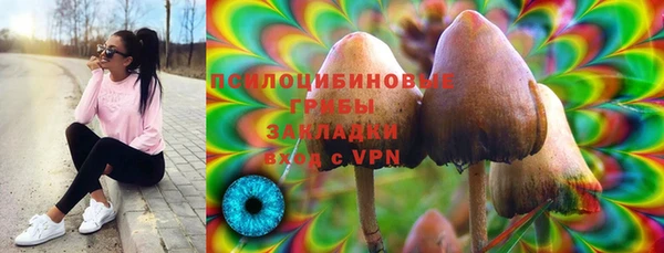 хмурый Алексеевка