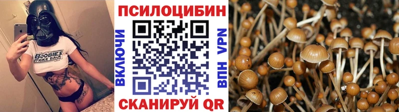 купить наркоту  Ковдор  Псилоцибиновые грибы GOLDEN TEACHER 